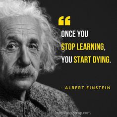 albert einstein quote about learning to learn how to use the same language as he is