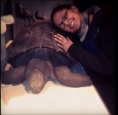 a woman is hugging a stuffed turtle on the counter in front of her, while she's wearing glasses