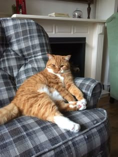 an orange and white cat laying on top of a chair next to a fire place