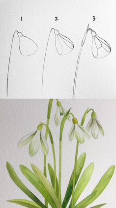 how to draw flowers in watercolor step by step