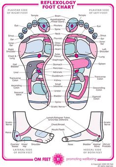 '80s pastel Foot Reflexology Chart, Ankle Pain, Nasal Congestion, Massage Room, Acupressure Points