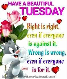 95 Tuesdays ideas | tuesday quotes, tuesday, tuesday greetings