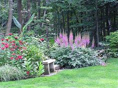 a garden filled with lots of different types of flowers