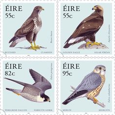 four stamps with different birds on them