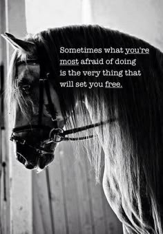 a horse with a quote on it's face in front of a wooden fence