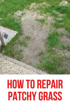 How to Repair Patchy Grass How To Fix Patchy Grass Lawn, How To Over Seed Your Lawn, How To Reseed Your Lawn, How To Sod A Yard, Lawn Maintenance Tips, Lawn Tips And Tricks, How To Grow Your Own Sod, Replanting Grass Lawn