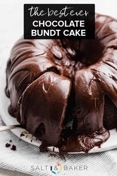 a chocolate bundt cake on a white plate with the words, the best ever chocolate bundt cake