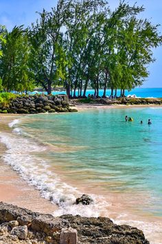 people are swimming in the ocean near some trees