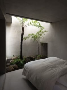 a bed sitting under a window next to a tree in a room with white walls