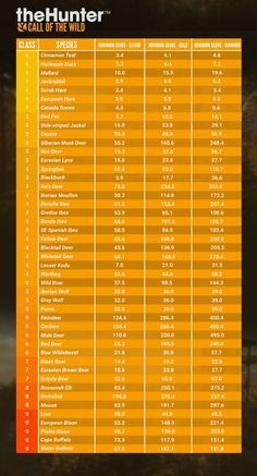 an orange and black poster with numbers on it's side, in front of trees