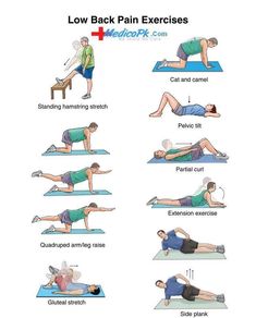 an exercise poster showing how to do back pain exercises