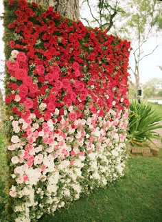 flowers are growing on the side of a tree in front of some grass and trees