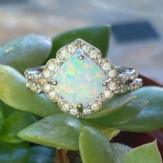 an opal and diamond ring sitting on top of a plant