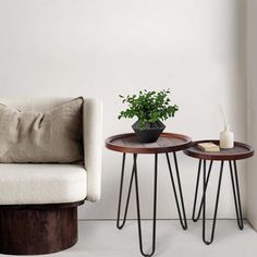 two small tables with plants on them next to a couch