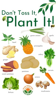 a poster with different types of vegetables on it