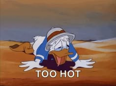 an animated duck wearing a hat laying on the ground in front of a desert landscape