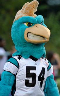 the mascot is wearing a football uniform