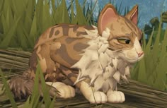 brown wcue morph in 2024 | Warrior cat, Tabby cat, Warrior cat drawings