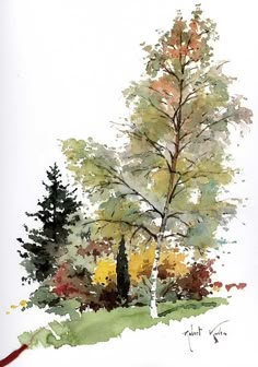 a watercolor painting of a tree in the fall with red ribbon on it's side