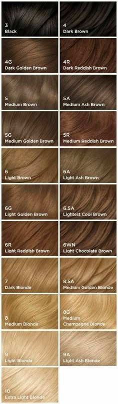 Clairol Hair Color Chart, Hair Diy Color, Hair Color Names, Ash Blonde Hair Dye, Light Ash Blonde Hair, Clairol Hair Color, Clairol Hair, Red Hair With Blonde Highlights, Hair Color Guide