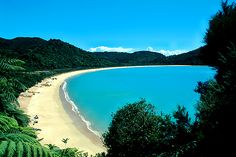 the beach is surrounded by lush green trees