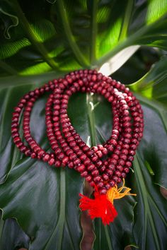 Red Spiritual Beaded Bracelets For Meditation, Red Beaded Bracelets For Meditation, Red Round Beaded Bracelets For Festivals, Red Wooden Beads For Gift, Red Wooden Beaded Necklace, Red Wooden Beaded Necklaces, Red Wooden Bead Necklace As Gift, Red Wooden Beaded Necklaces As Gifts, Red Wooden Beaded Necklaces For Gifts