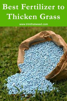 Best Fertilizer to Thicken Grass. Welcome to our video of the Best Fertilizer to Thicken Grass. Lawn Care Diy, Grass Fertilizer, Best Grass Seed, Lawn Renovation, Organic Lawn Care, Lawn Mower Maintenance, Fall Lawn, Lawn Care Schedule, Planting Grass