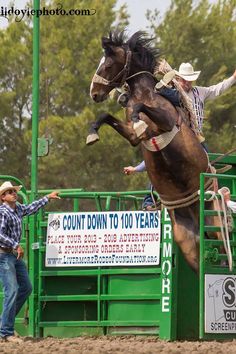 a man riding on the back of a brown horse