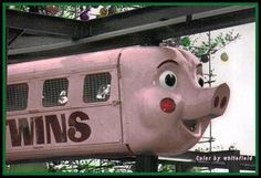 a large pink pig hanging from the side of a building