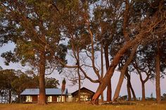 a small cabin nestled between two trees in the middle of a grassy field at dusk