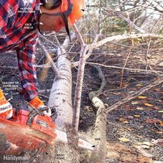 a man in plaid pants cutting a tree with a chainsaw