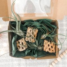 a box filled with dices and plants on top of a table