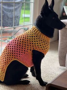 a black dog sitting on the floor wearing a yellow and pink sweater that is knitted