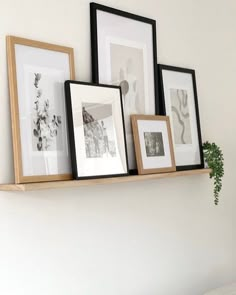 three framed pictures are hanging on a wall above a bed with a plant in the foreground