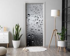 an open door with water drops on it in a room next to a potted plant