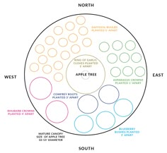 the apple tree is labeled in different colors