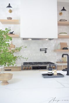 a kitchen with white counter tops and wooden shelves on the wall, along with a potted plant