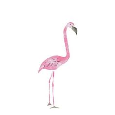 a pink flamingo standing on top of a white ground