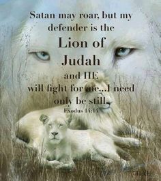 Satan may roar but my DEFENDER is the Lion of Judah and He will fight for me... I need only be STILL. ~Exodus 14:14 The Lion Of Judah, Spiritual Warfare, Spiritual Inspiration, Christian Inspiration, Bible Verses Quotes, Christian Life