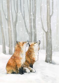 two foxes sitting in the snow looking at each other's eyes with trees behind them