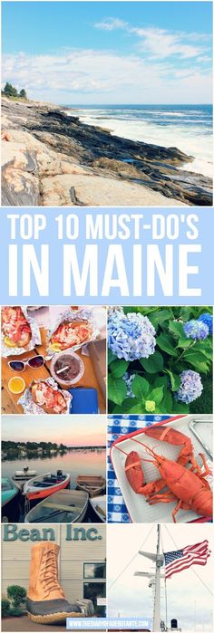 the top 10 must - do's in maine with pictures of lobsters and boats