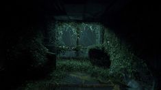 an abandoned room with ivy growing on the walls and floor, dark lighting from outside