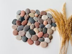 a bunch of rocks sitting on top of a table next to a dry grass stalk