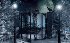 two crows perched on top of a gate in the snow at night with full moon behind them