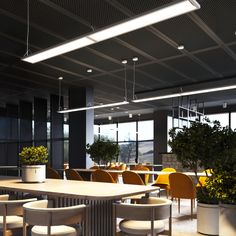 an empty restaurant with yellow chairs and potted plants on the tables in front of large windows