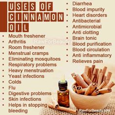 Cinnamon Bark oil Young Living  Anybody interested in purchasing the oils or learning more can email me at siegel_m@bellsouth.net. I would be more than happy to help!  Or check out the products and order at   https://www.youngliving.com/signup/?site=US=1483454=1483454 Or check out their main website at www.youngliving.com Essential Oil Remedy, Oil Remedies, Yl Essential Oils, Essential Oils Herbs