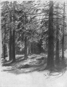 a pencil drawing of trees in the woods