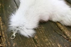 the tail of a cat that is laying on top of a wooden table next to a pair of scissors