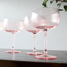 three wine glasses sitting on top of a wooden table next to a potted plant