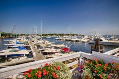 boats are docked in the water at a marina